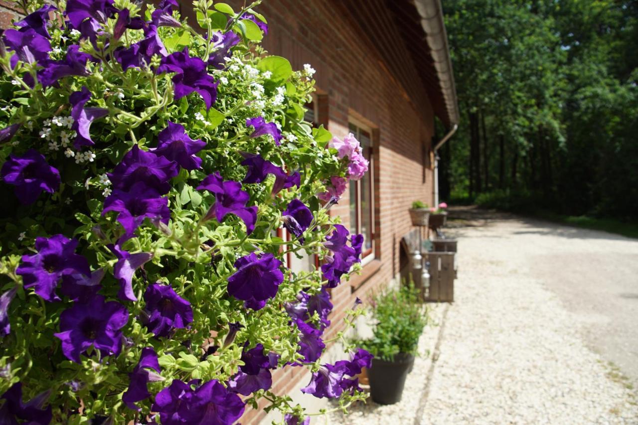 Bed & Breakfast Aan De Beek Arcen Exterior foto